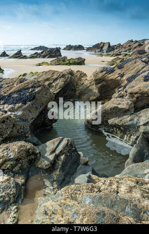 Rock Pools unter den Felsen durch die Ebbe auf den Fistral Beach in Newquay in Cornwall ausgesetzt. Stockfoto