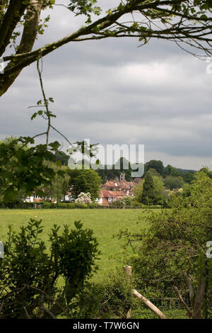 Blick auf das Dorf Hambledon, Hampshire, England, Großbritannien Stockfoto