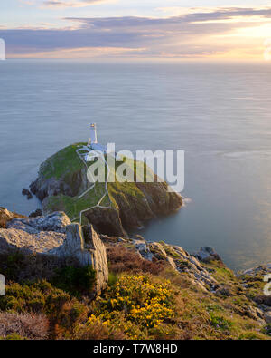 Holyhead, Großbritannien - 2. Mai 2019: South Stack Leuchtturm auf der westlichen Spitze von Anglesey. Stockfoto