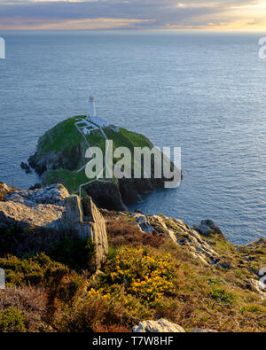 Holyhead, Großbritannien - 2. Mai 2019: South Stack Leuchtturm auf der westlichen Spitze von Anglesey. Stockfoto