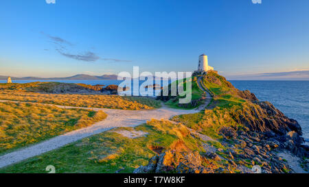 Llanddwyn, Wales - Mai 1, 2019: Twr Mar Leuchtturm auf llanddwyn Insel Anglesey, Wales UK Stockfoto