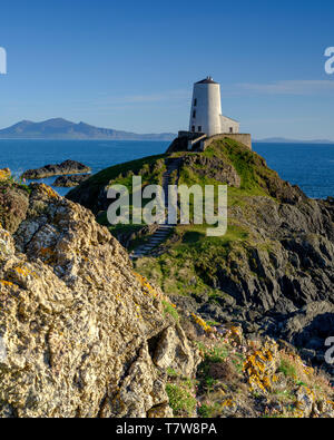 Llanddwyn, Wales - Mai 1, 2019: Twr Mar Leuchtturm auf llanddwyn Insel Anglesey, Wales UK Stockfoto