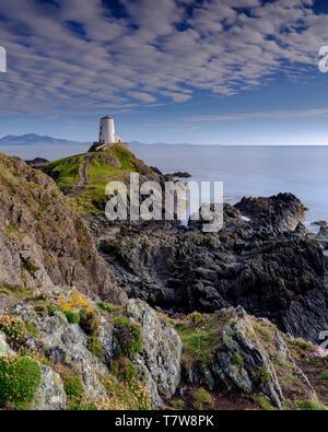 Llanddwyn, Wales - Mai 1, 2019: Twr Mar Leuchtturm auf llanddwyn Insel Anglesey, Wales UK Stockfoto