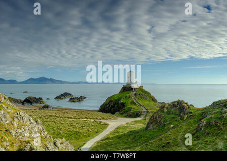 Llanddwyn, Wales - Mai 1, 2019: Twr Mar Leuchtturm auf llanddwyn Insel Anglesey, Wales UK Stockfoto