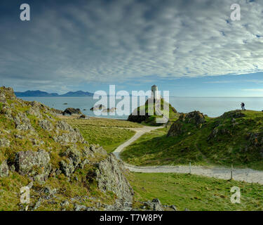 Llanddwyn, Wales - Mai 1, 2019: Twr Mar Leuchtturm auf llanddwyn Insel Anglesey, Wales UK Stockfoto