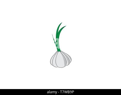 Eine Knoblauchzehe mit Blättern für Logo Design Illustration Stock Vektor