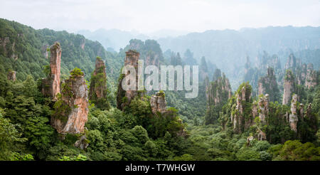 Panoramablick auf die Landschaft in Zhangjiajie National Forest Park in der Provinz Hunan, China Stockfoto