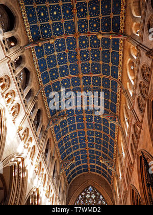 Anzeigen von Blue barrel gewölbten Holzdecke mit vergoldeten Sternen über das Kirchenschiff der Kathedrale Carlisle, Cumbria, England eingerichtet Stockfoto