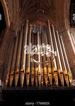 Runder Anhänger Kronleuchter Leuchte und reich verzierten Orgelpfeifen reichen bis in das gewölbte Dach der Kathedrale Carlisle, Cumbria, England Stockfoto