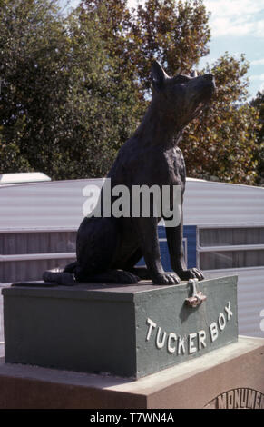 Der Hund auf dem TUCCURBOX DENKMAL, SCHLANGE GULLY, 5 Meilen von GUNDAGAI, New South Wales, Australien. Stockfoto