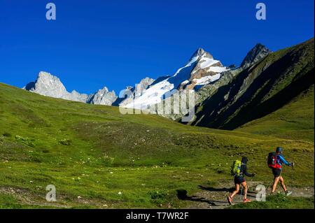 Schweiz, Wallis, Val Ferret, Tour du Mont Blanc, Grand Col Ferret Stockfoto