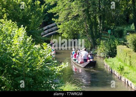 Frankreich, Picardie, Amiens, hortillonnages, Besuch im Boot cornet Stockfoto