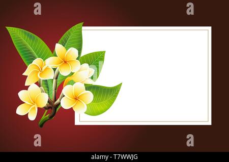 Golden frangipani oder plumeria Blumen mit Blättern. Vektor Einladung Postkarte Stock Vektor