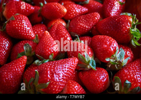 Obst exquisite und nutritive Stockfoto