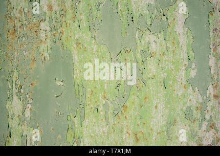 Detail des Alten, Grunge, rostiges Metall Türen mit Schichten von Grün, Türkis und Gelb Farbe und Rost. Stockfoto