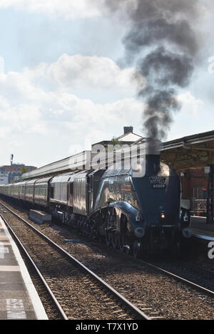 Dampflokomotive60009 "Union von Südafrika" ziehen die Express Taunton Station Torbay, England, UK. Stockfoto