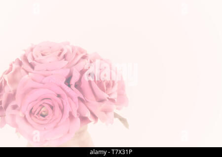 Rose Hintergrund Rosa. Stockfoto