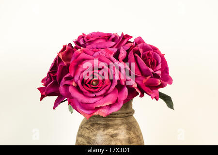 Blumenstrauß aus Rosen in Vase auf weißem Hintergrund. Stockfoto