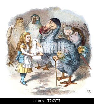 ALICE's Adventures in Wonderland Alice erfüllt die Dodo in einer John Tenniel Abbildung aus der Originalausgabe von 1865 Buch von Lewis Carroll Stockfoto