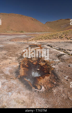 Siedepunkt fumarole am Rio Blanco River in der Nähe von El Tatio Geysir, San Pedro de Atacama, Chile Stockfoto