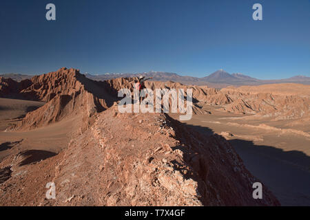 Trekking durch eine wunderschöne Wüstenlandschaft im Valle Marte, San Pedro de Atacama, Chile Stockfoto