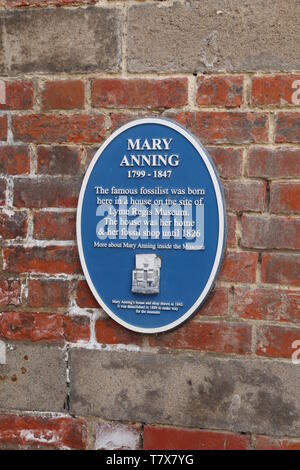 Lyme Regis, Dorset - Mary Anning blaue Plakette disc, English Heritage Stockfoto