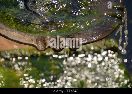 Stein Wasser Schüssel mit einem Brunnen Nahaufnahme mit Licht und Bokeh visueller Hintergrund, Wasser fällt in den Brunnen Makroaufnahme mit Algen auf dem Boden w Stockfoto
