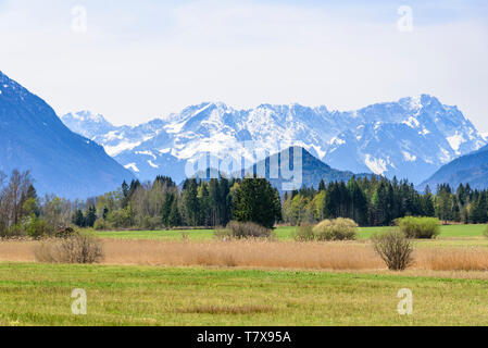 Beeindruckenden Blick auf die Zugspitze zu massiv mit Schnee Spitzen im Murnauer Moos im April abgedeckt Stockfoto