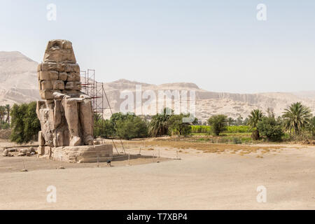 Die Statue von Amenhotep III. in sitzender Position, Luxor, Ägypten Stockfoto