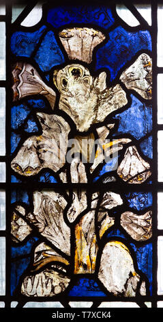 Mittelalterliche Glasfenster des gekreuzigten Christus Jesus in Form der Lilie Blume, Kirche der Heiligen Dreifaltigkeit, Long Melford, Suffolk, England ca. 1350. Stockfoto