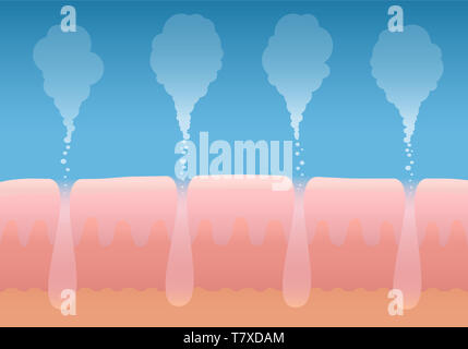Haut atmen. Die menschliche Haut- Atmung. Schematischer Querschnitt Abbildung: Schichten der Haut mit Poren und der Gasaustausch. Stockfoto