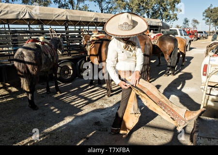 Juan Franco, Sr., Tasten seine Chaps wie kleidet er sich in der traditionellen Charro Kostüm, als er für eine Familie Practice Session in der jalisco Hochland Stadt Capilla de Guadalupe, Mexiko bereitet. Der Franco-Familie hat den mexikanischen Rodeo für 40 - Jahre beherrscht und hat drei nationale Meisterschaften, fünf zweite Plätze und 5 dritte Plätze gewonnen. Stockfoto