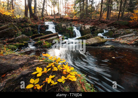 Romantische Wasserfall im Selketal auf die Saison Herbst mit hellen Farben des Laubes Stockfoto