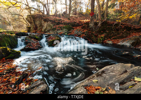 Romantische Wasserfall im Selketal auf die Saison Herbst mit hellen Farben des Laubes Stockfoto