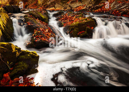 Romantische Wasserfall im Selketal auf die Saison Herbst mit hellen Farben des Laubes Stockfoto