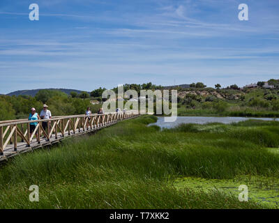 Besucher wandern auf dem hölzernen Fußweg quer durch das Salzwasser Lagune von Fuente de Piedra Naturschutzgebiet, beobachten die Watvögel. Spanien Stockfoto