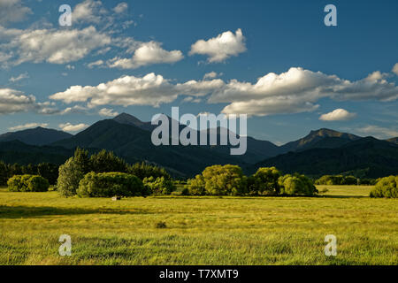 Weinberg, Weingut Neuseeland Marlborough, typische Landschaft mit Weinbergen und Strassen, Hügel und Berge. Stockfoto