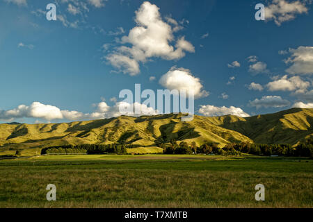 Weinberg, Weingut Neuseeland Marlborough, typische Landschaft mit Weinbergen und Strassen, Hügel und Berge. Stockfoto