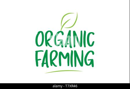 Die ökologische Landwirtschaft grüne Wort text mit Blatt geeignet für Symbol, Abzeichen oder Typografie Logo Design Stock Vektor