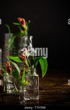 Rote Blumen in Vasen aus Glas Stockfoto