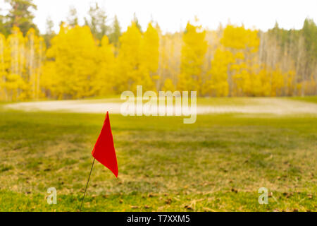 Rote Flagge auf grobe neben dem grünen Golfplatz im Herbst die Berge Stockfoto