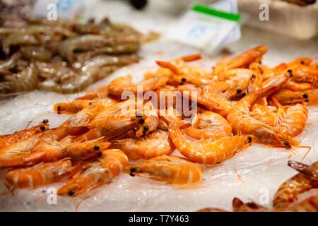 Rohe frische Meeresfrüchte Scampi in Fischmarkt Stockfoto