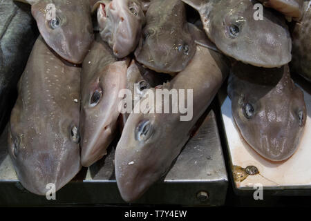 Billingsgate Fischmarkt Stockfoto