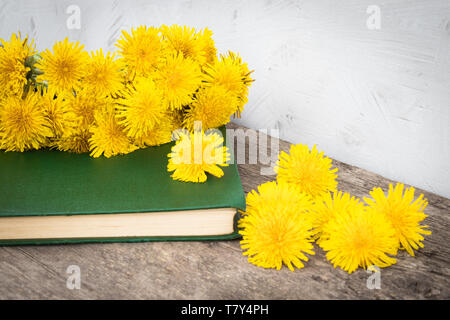 Kleiner gelber Löwenzahn liegen auf den alten grünen Papier auf dem Hintergrund der alten Boards. Es ist ein Ort für Ihren Text. Stockfoto