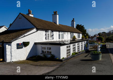 Gorsedd, Großbritannien - Mar 25, 2019: Der Druide Inn, Gorsedd ist eine typische, idyllische, ländliche Country Pub, das Teil der lokalen Gemeinschaft. Stockfoto