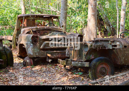 Alte Autos rosten und im Wald gedumpten, Guatemala Mittelamerika. Konzept - aufgeschlüsselt, Umweltverschmutzung, Stockfoto