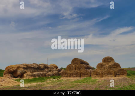 Rollen von Heu im Land der Vojvodina (Serbien) Stockfoto