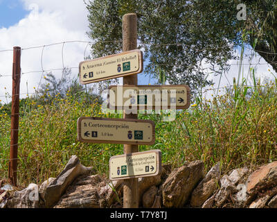 Wandern in der Sierra de Aracena, Heulva Provinz, Andalusien, Spanien Stockfoto