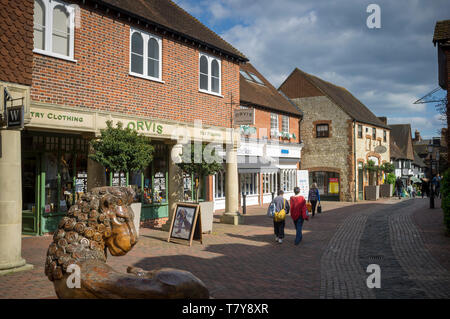 Der Lion and Lamb Yard oder die Lion & Lamb Yard Einkaufsstraße in Farnham, Surrey. Stockfoto