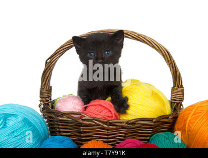 Adorable schwarz tabby Katze mit blauen Augen in einem braunen geflochtenen Korb voller Garne Garne überlaufen auf Tisch, auf weißem Hintergrund. Kätzchen suchen Stockfoto